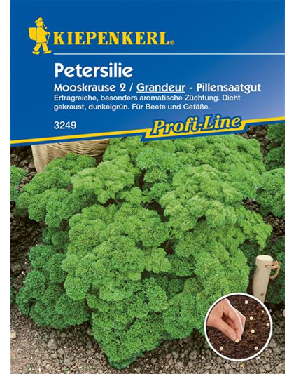 Krause Petersilie 'Grandeur'