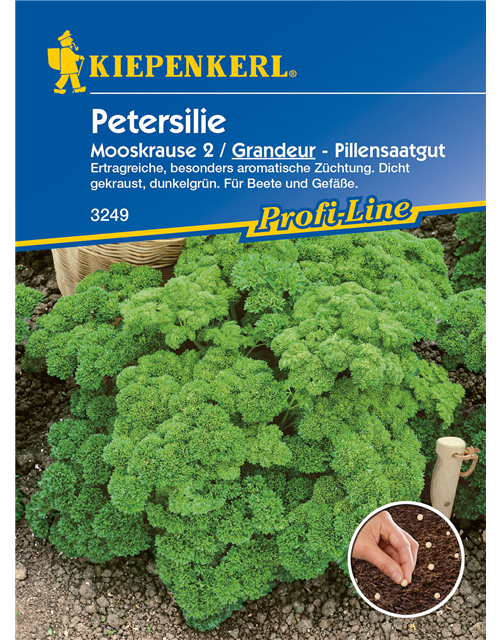 Krause Petersilie 'Grandeur'