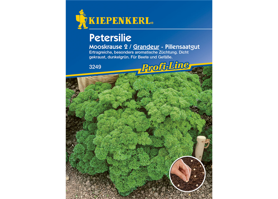 Krause Petersilie 'Grandeur'