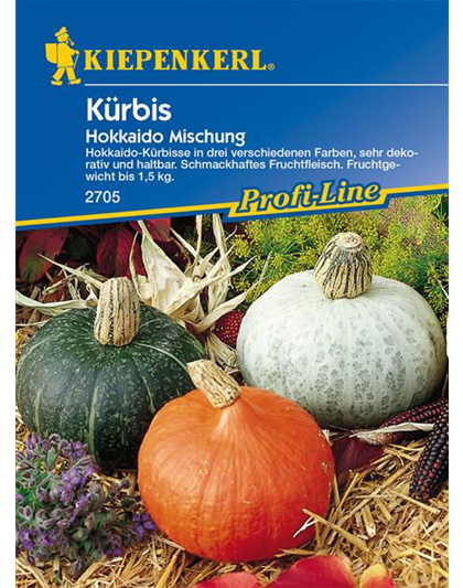 Kürbis 'Hokkaido'