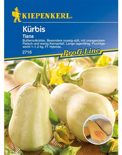 Kürbis 'Tiana'