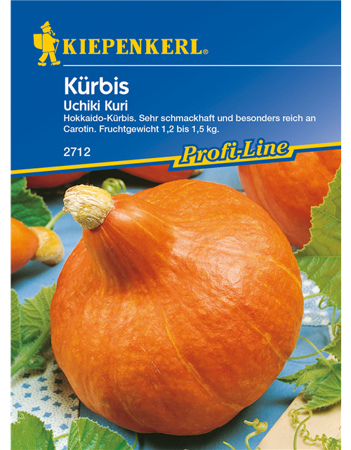 Kürbis 'Uchiki Kuri'