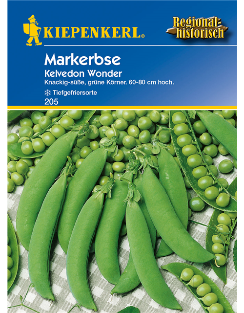 Markerbse 'Wunder von Kelvedon'