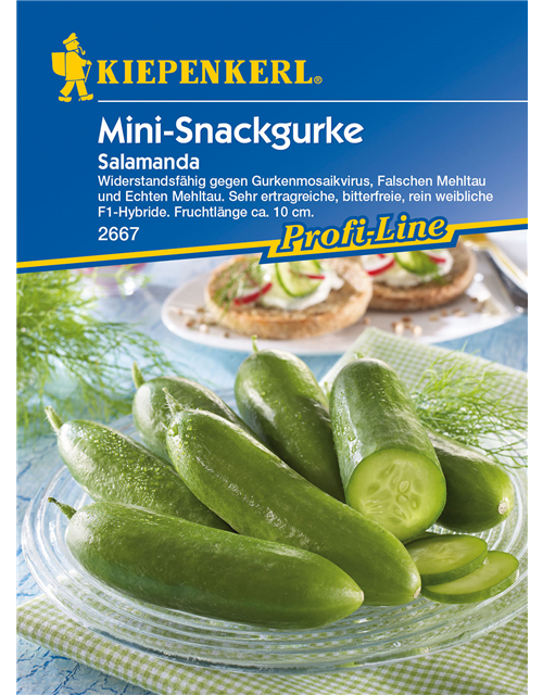 Mini-Snackgurke 'Salamanda F1'