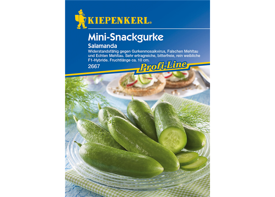 Mini-Snackgurke 'Salamanda F1'