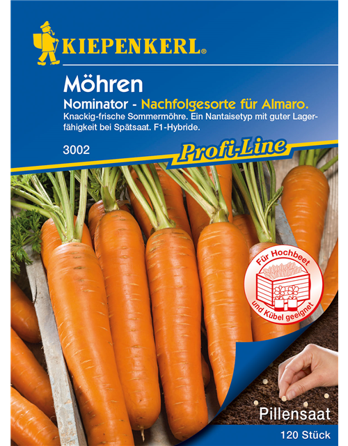 Möhre 'Nominator'