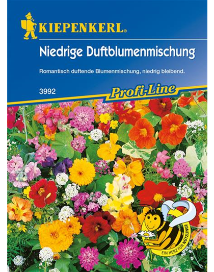 Niedrige Duftblumen