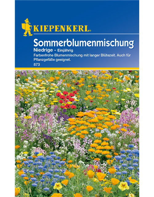 Niedrige Sommerblumen