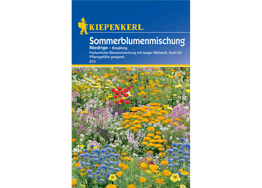 Niedrige Sommerblumen