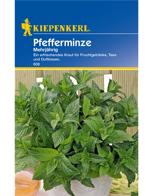 Pfefferminze