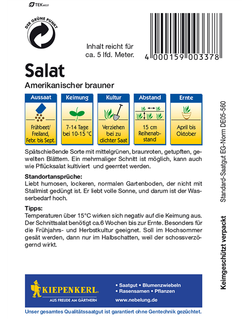 Pflücksalat 'Amerikanischer Brauner'