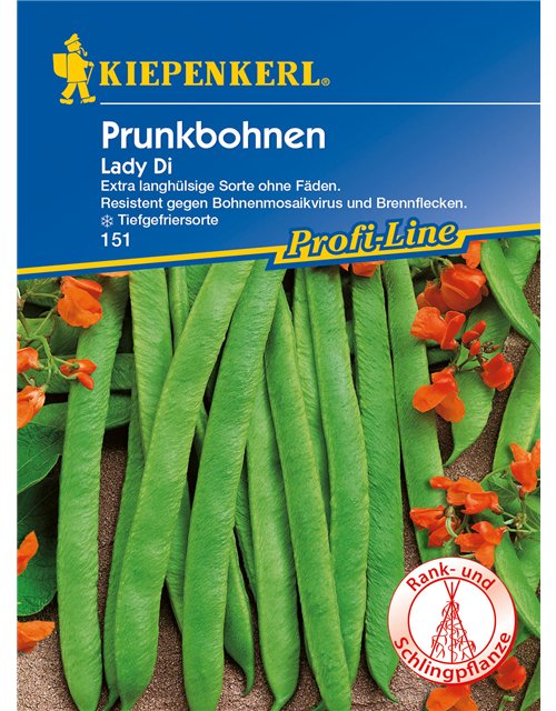 Prunkbohne 'Lady Di'