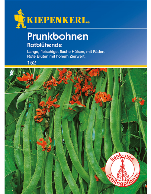 Prunkbohne 'Rotblühende'