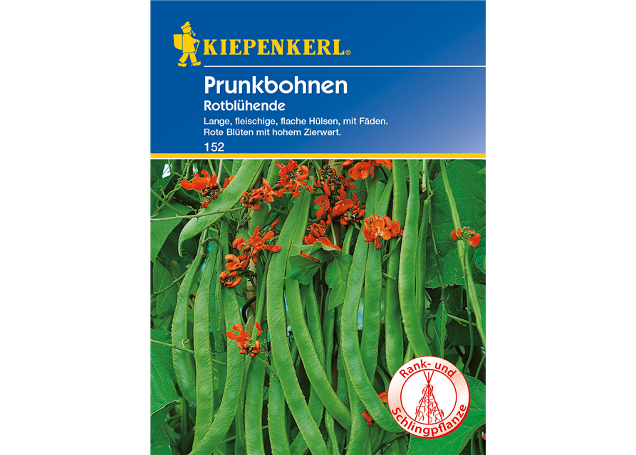 Prunkbohne 'Rotblühende'