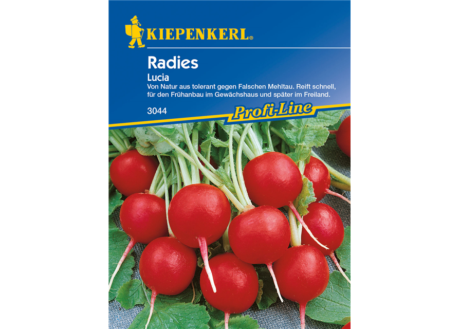 Radieschen 'Lucia'