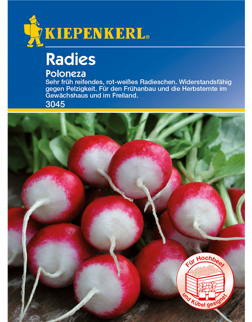 Radieschen 'Poloneza'