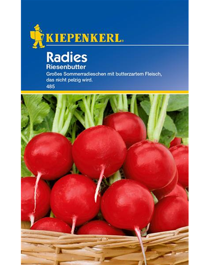 Radieschen 'Riesenbutter'