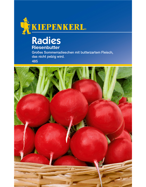 Radieschen 'Riesenbutter'