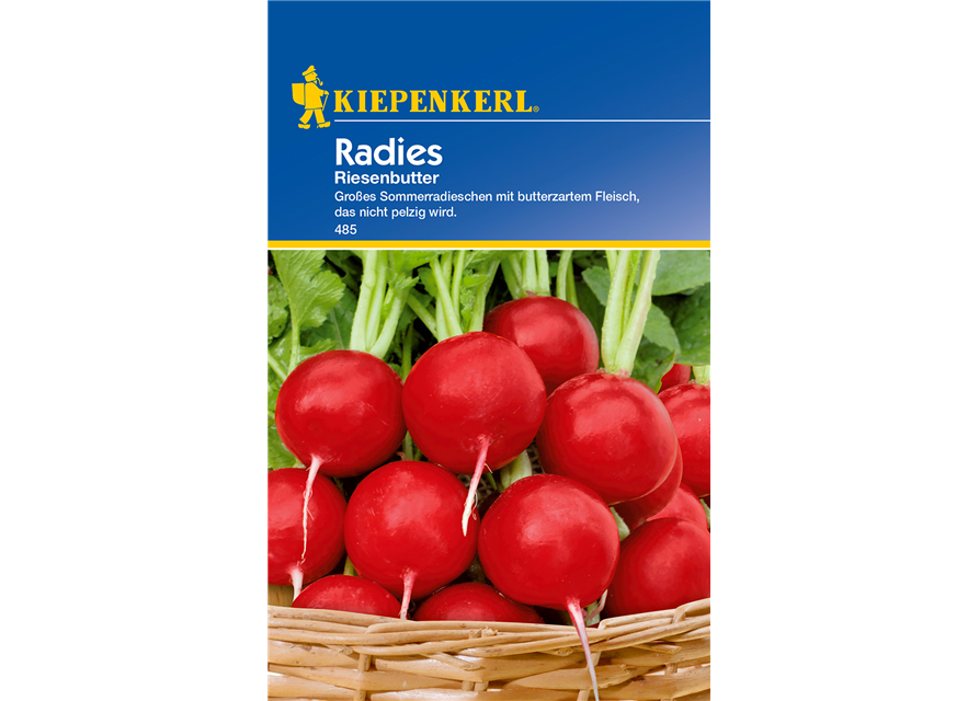 Radieschen 'Riesenbutter'