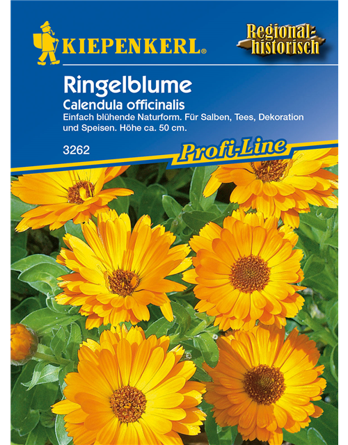 Ringelblume