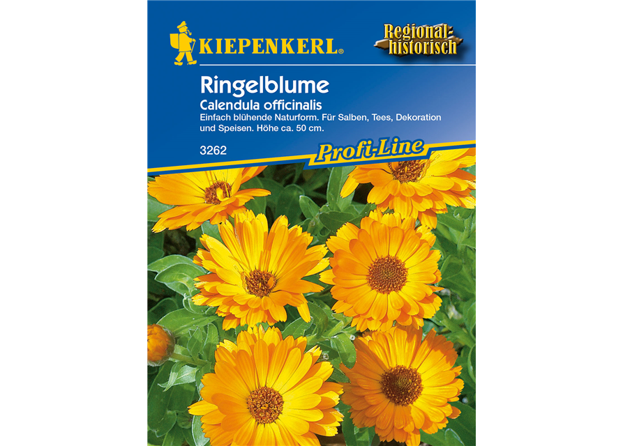 Ringelblume