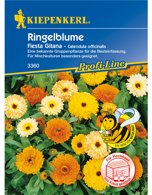 Ringelblume 'Fiesta Gitana'