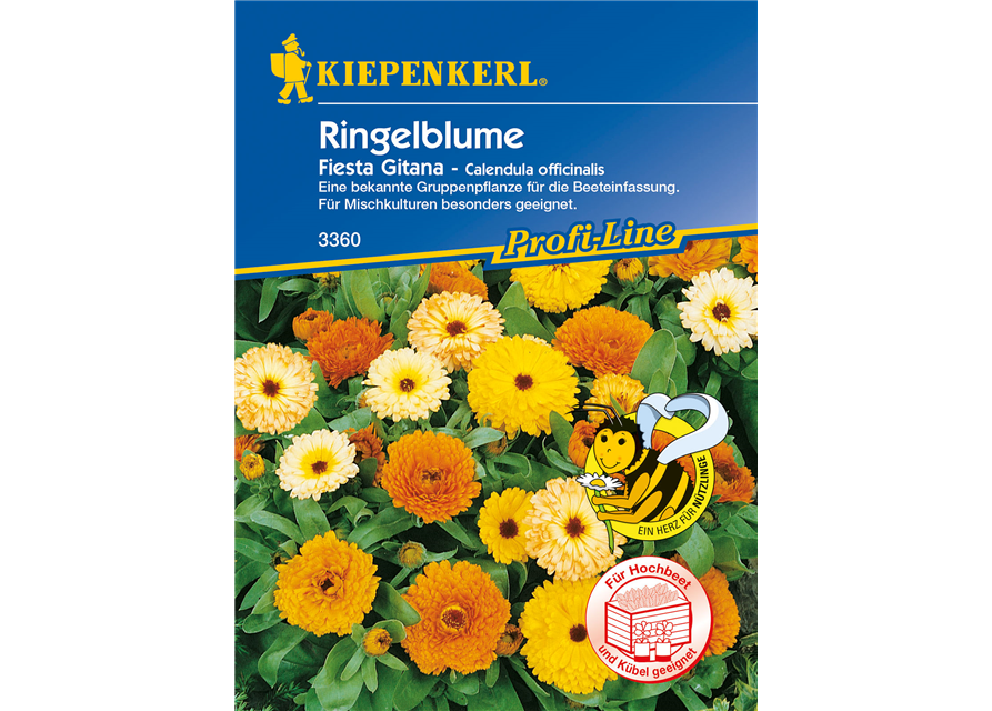 Ringelblume 'Fiesta Gitana'