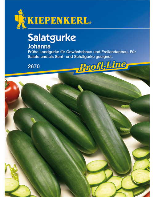 Salatgurke 'Johanna'