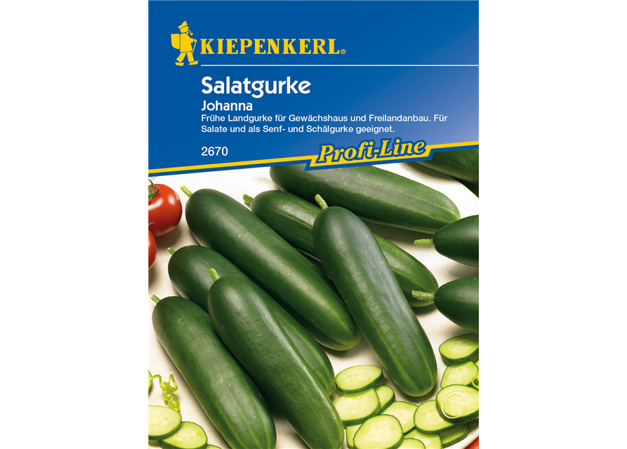 Salatgurke 'Johanna'