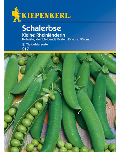 Schal-Erbse 'Kleine Rheinländerin'