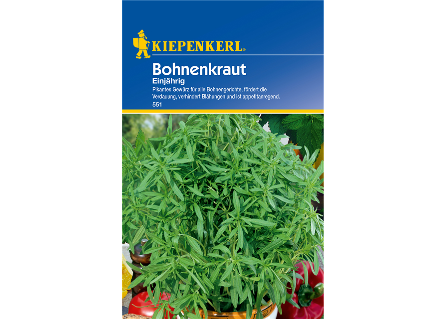 Sommer-Bohnenkraut