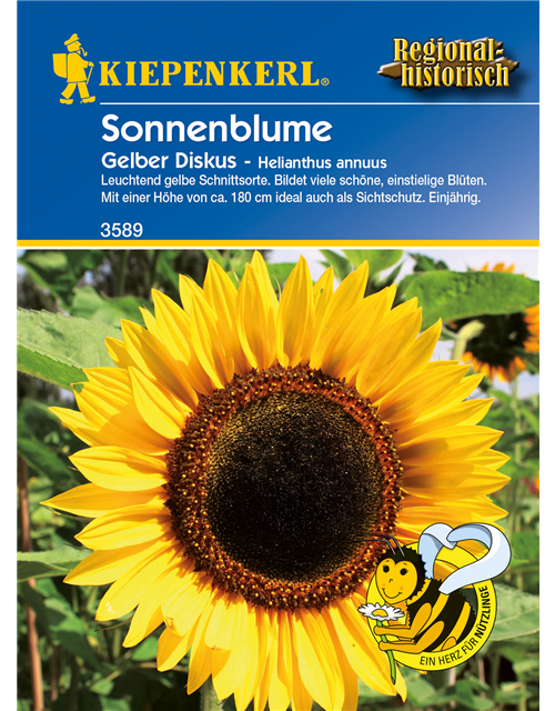 Sonnenblume 'Gelber Diskus'