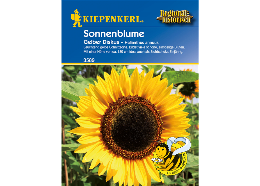 Sonnenblume 'Gelber Diskus'