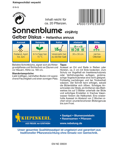 Sonnenblume 'Gelber Diskus'