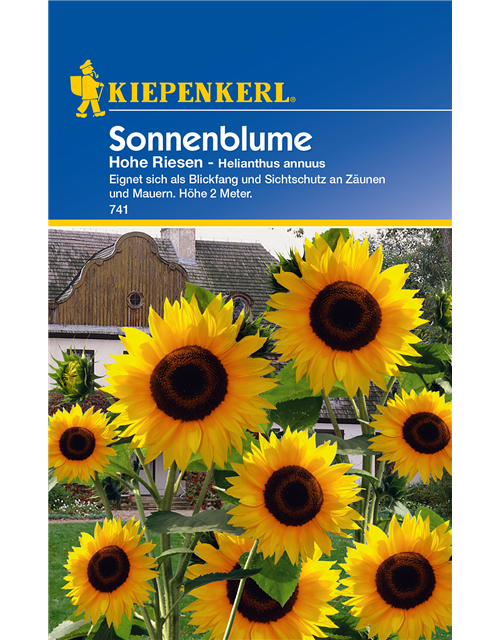 Sonnenblume 'Hohe Riesen'