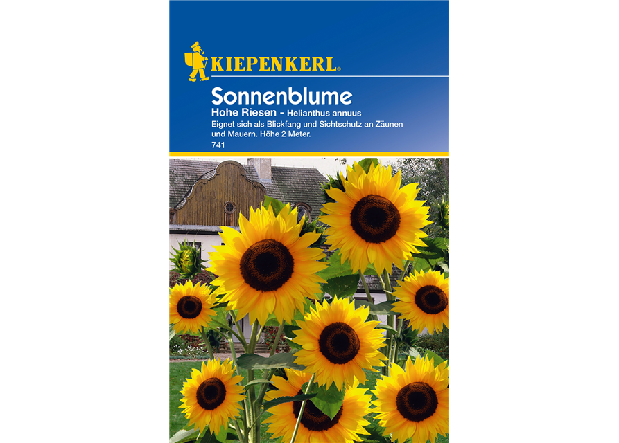 Sonnenblume 'Hohe Riesen'