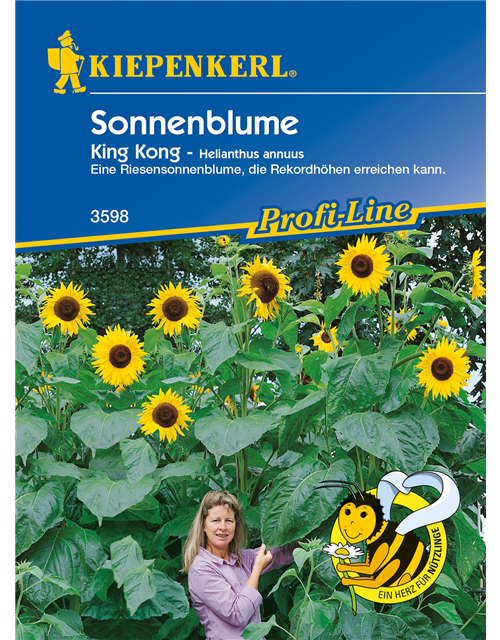 Sonnenblume 'King Kong'