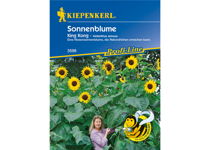 Sonnenblume 'King Kong'