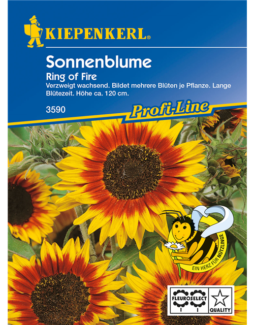 Sonnenblume 'Ring of Fire'