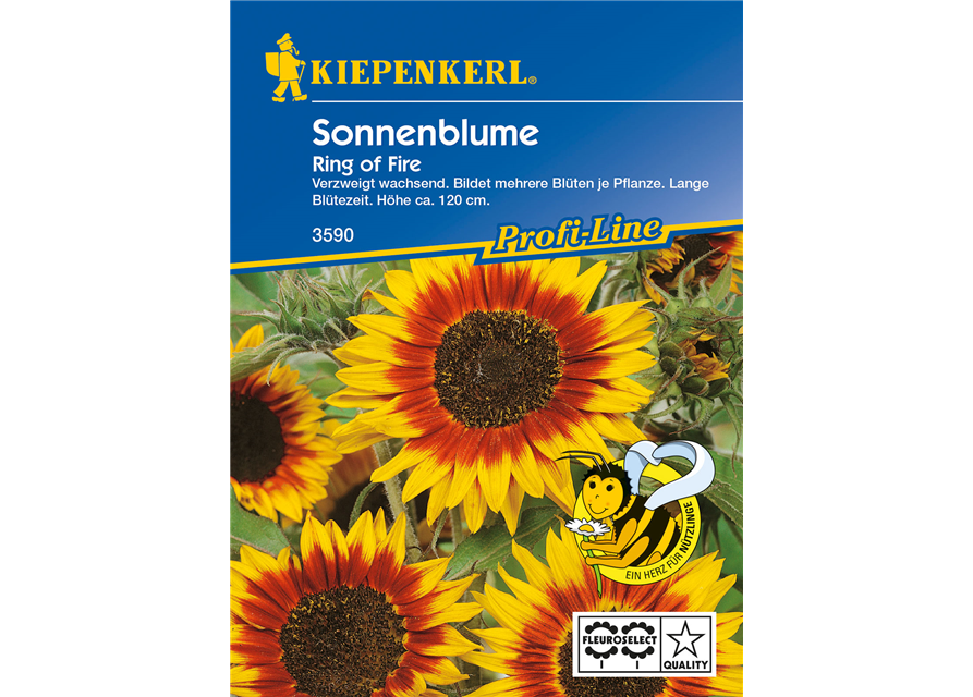 Sonnenblume 'Ring of Fire'