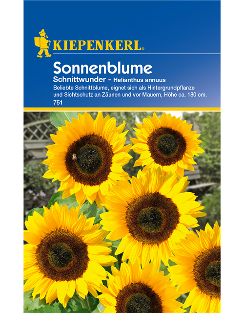 Sonnenblume 'Schnittwunder'