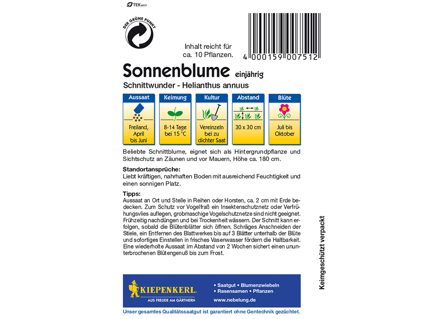 Sonnenblume 'Schnittwunder'