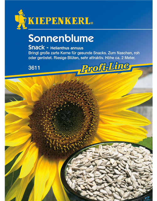 Sonnenblume 'Snack'