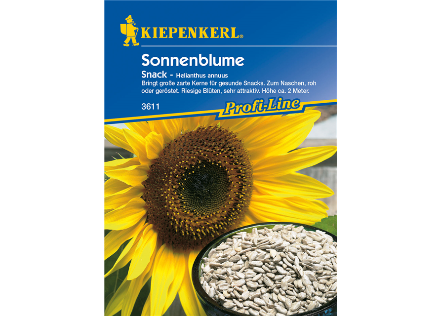 Sonnenblume 'Snack'