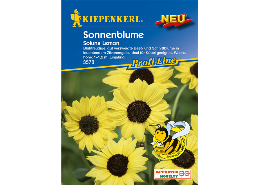 Sonnenblume 'Soluna Lemon'