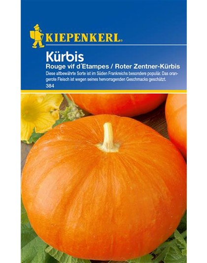 Speise-Kürbis 'Rouge vif d´Etampes'