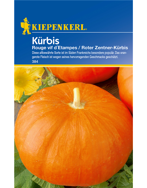 Speise-Kürbis 'Rouge vif d´Etampes'