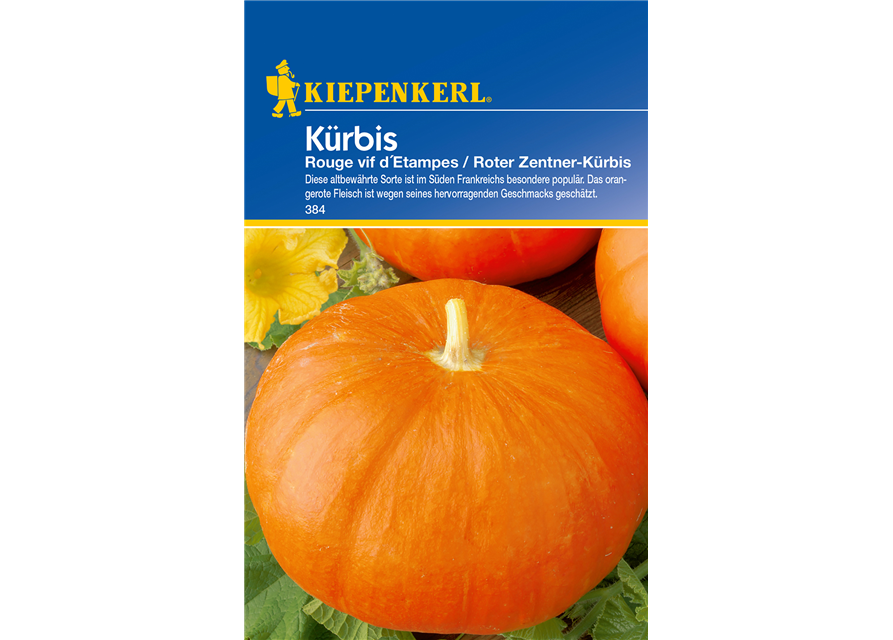 Speise-Kürbis 'Rouge vif d´Etampes'