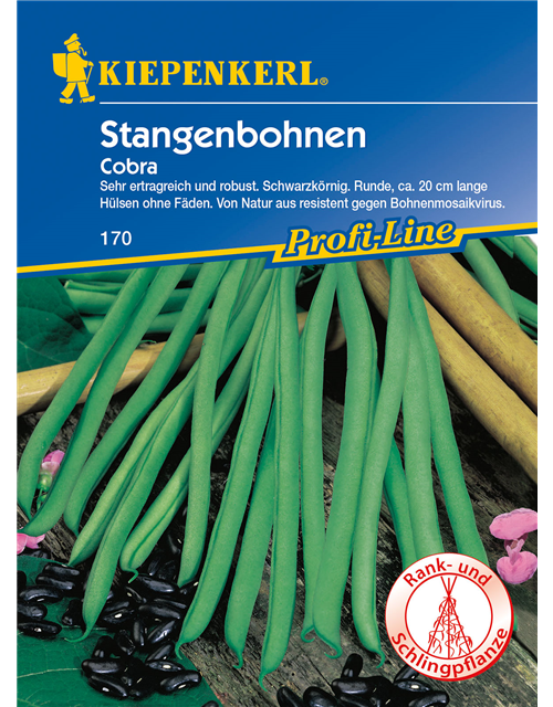 Stangenbohne 'Cobra'