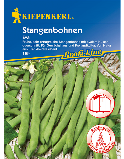 Stangenbohne 'Eva'